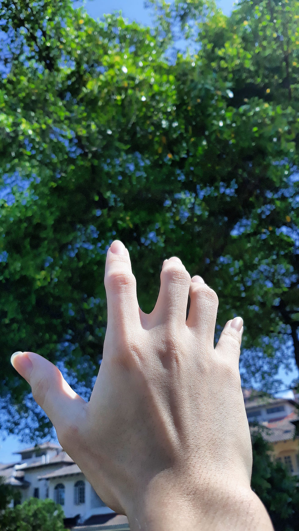ree
