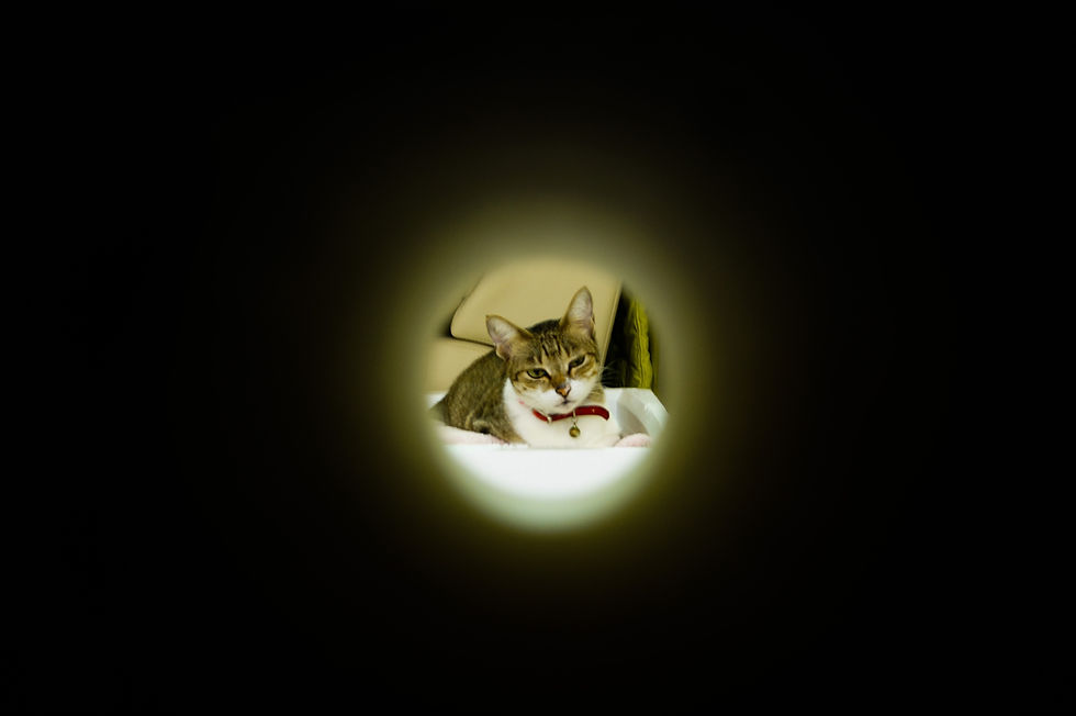 ree
