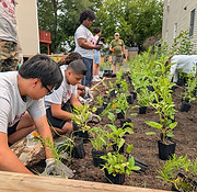 YouthGROW planting Biodiversity Garden photo by Regional Environmental Council.JPG