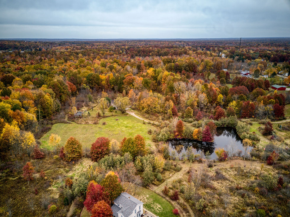 SR 225 (Drone) (4 of 12)