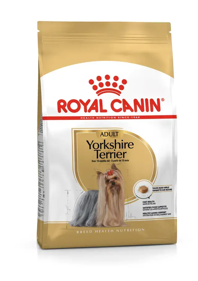 Yorkshire Terrier Adult Yetişkin Köpek Kuru Maması