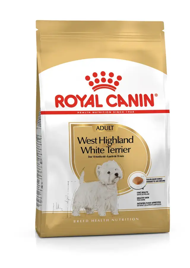 West Highland White Terrier Adult Yetişkin Köpek Kuru Maması