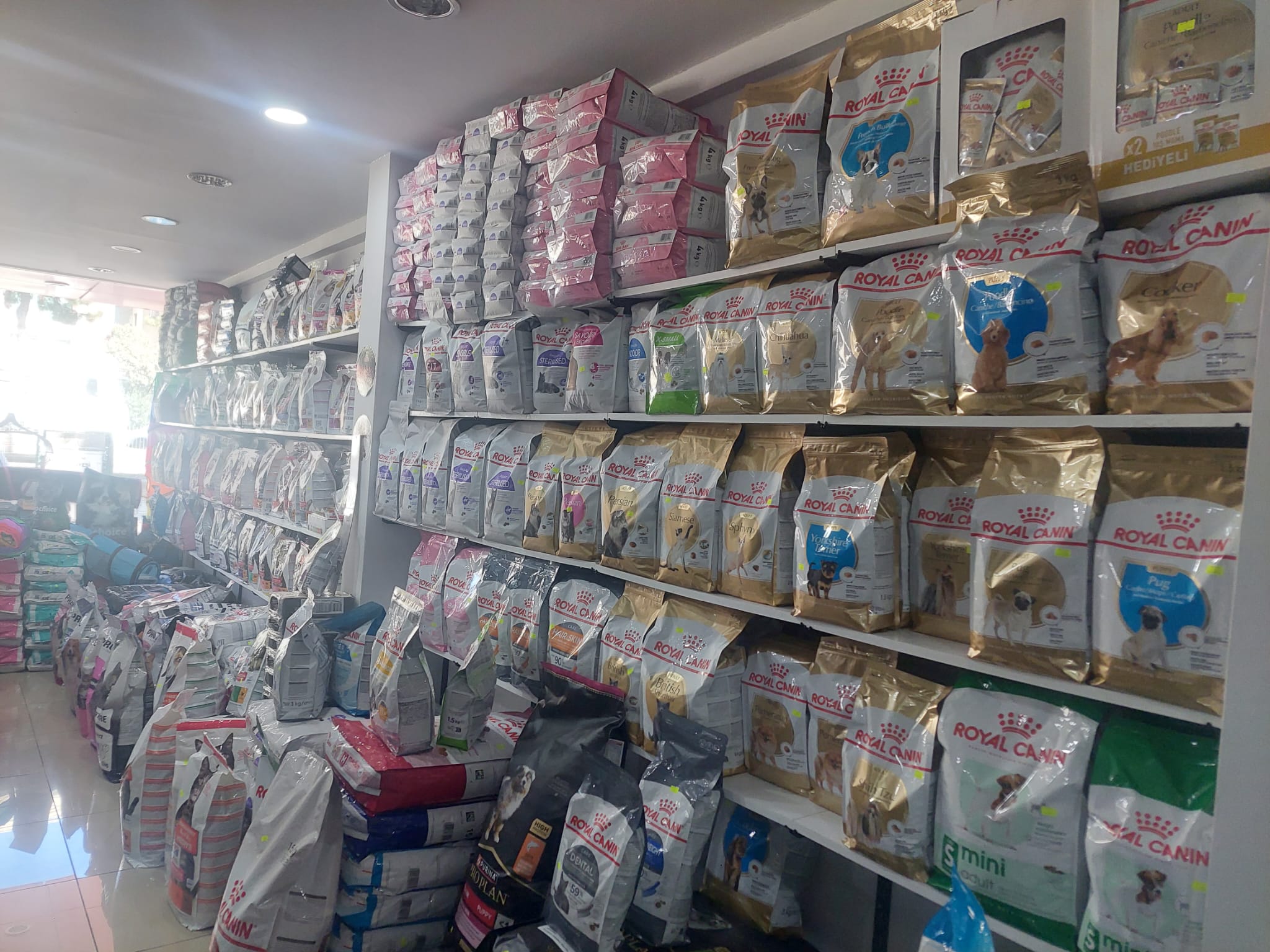 Kuş Sağlığı ve Beslenme Rehberi — EnuygunPet Gross Market Samsun Atakum kuş ürünleri