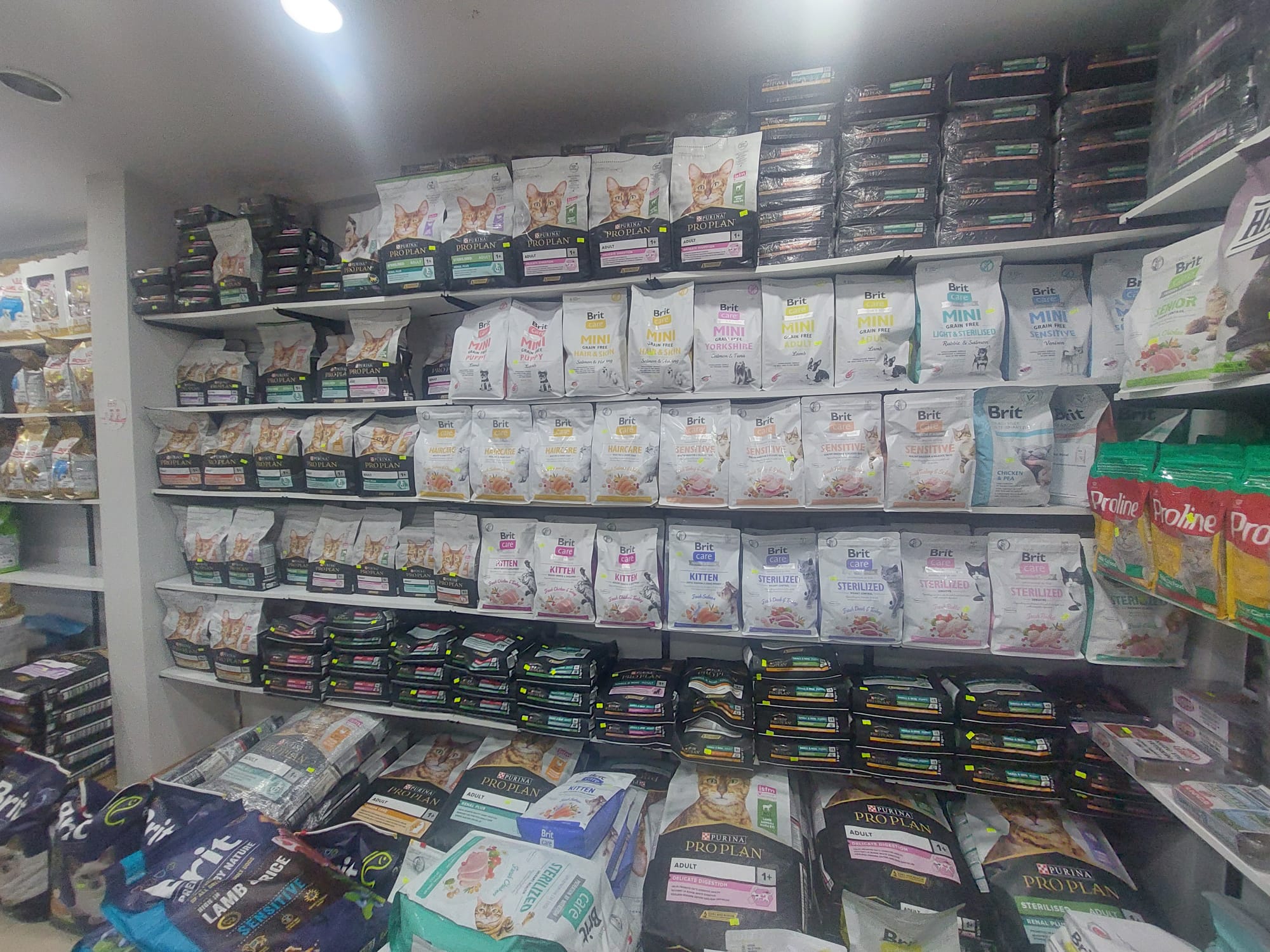 Kedi Maması Atakum — EnuygunPet Gross Market — EnuygunPet Gross Market Samsun Atakum kedi maması