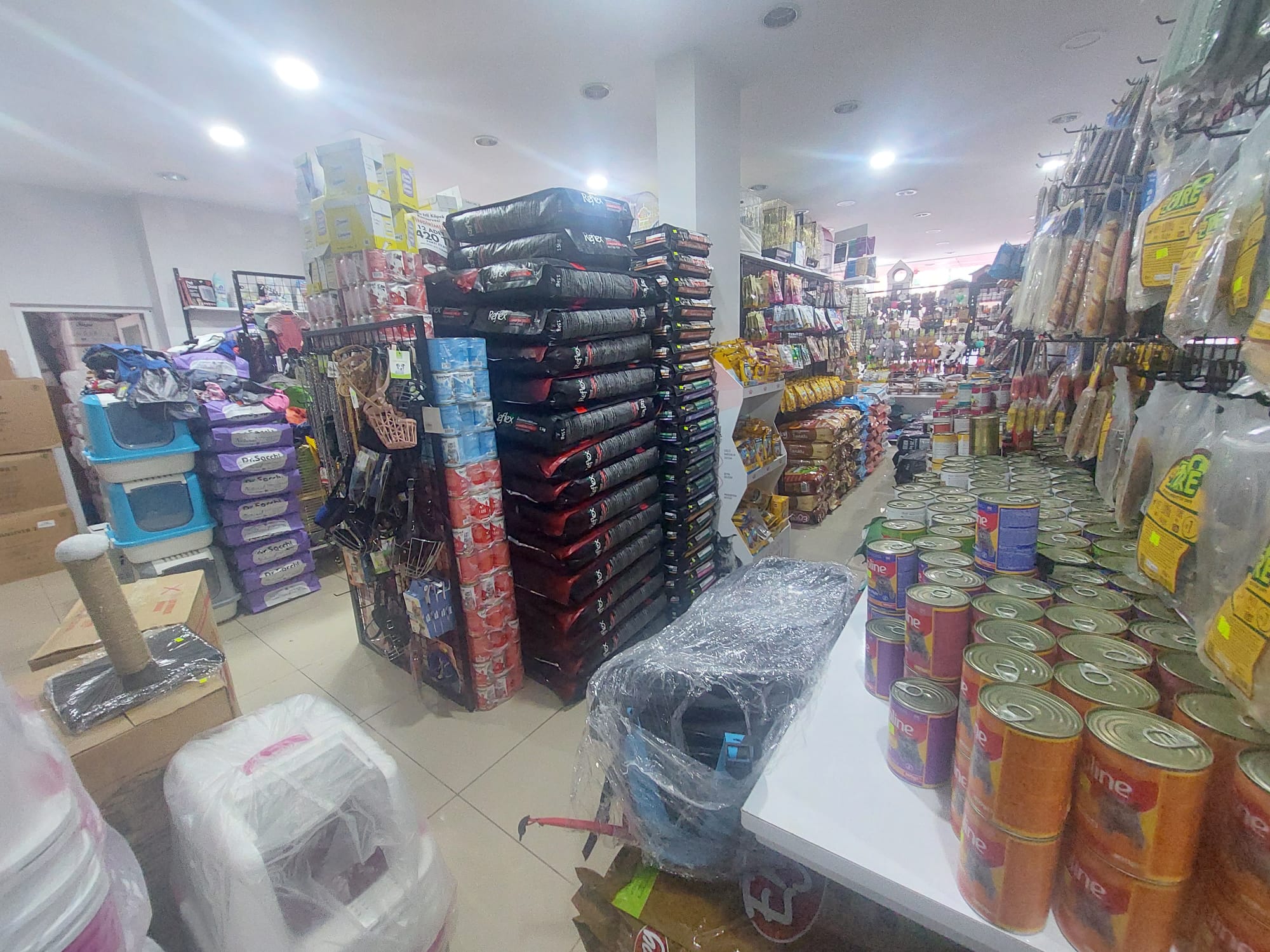 Köpek Sağlığı ve Beslenme Rehberi — EnuygunPet Gross Market Samsun Atakum köpek maması