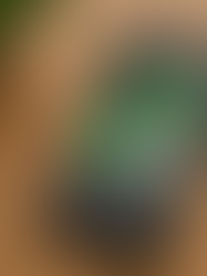 De eerste smartphone in huis (soort van)