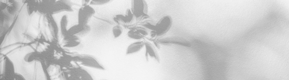 Leaves Shadow _edited.jpg