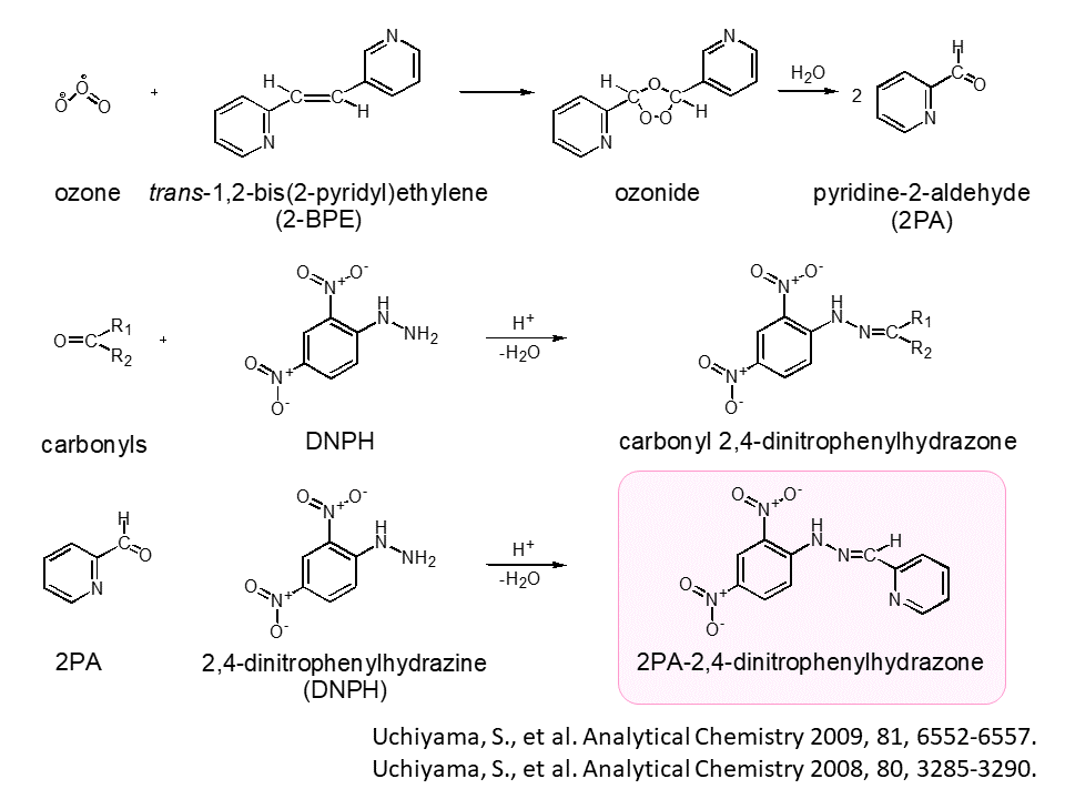 BPE-DNPH-5.gif