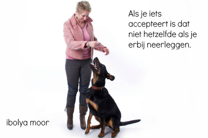 Blog 2A Hoe krijg je dan meer zelfvertrouwen? Deel 1