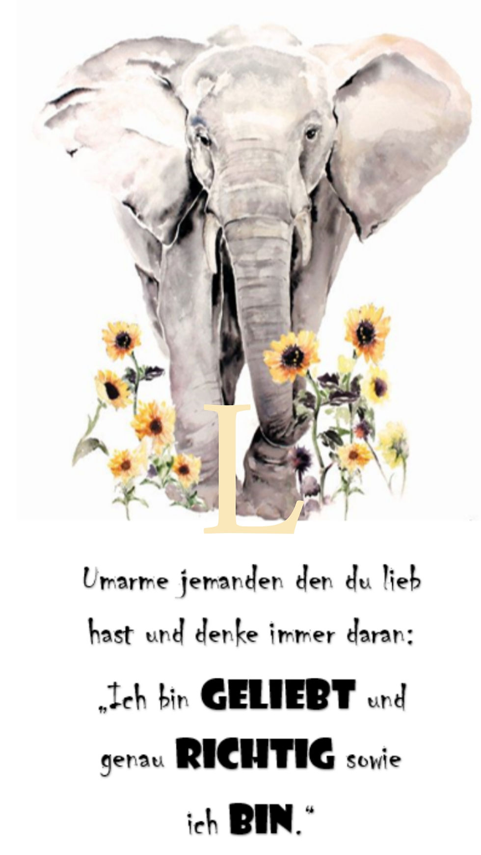 Miniaturbild: Affirmationsbuch "Ich bin ein Wunder"