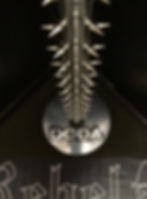 Rebel Ion spiked mic stand