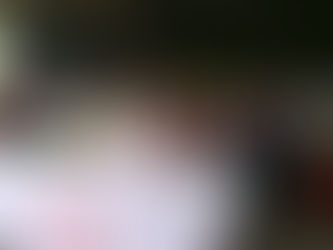 Sharp Top Fiber Gathering 2026