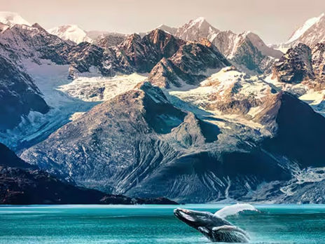 Explore Alaska in 2026: Cruise Aboard Norwegian Jade with JMart Travels & Pam’s Traveling Friends