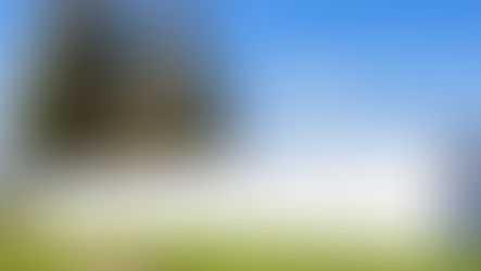 What Type of Fences Offer the Most Privacy? A Comprehensive Guide