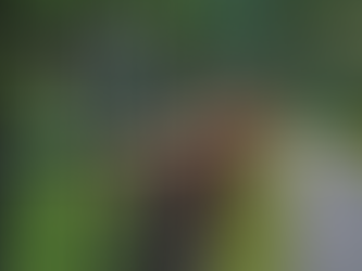 The Best Type of Fence for Front Yards in Lehigh Valley, PA