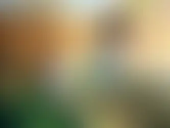 What Makes for the Safest Outdoor Fences for Kids?