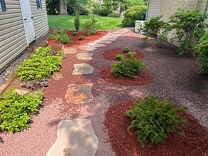 Transforming a Challenging area into a Vibrant Landscape in Nazareth, PA