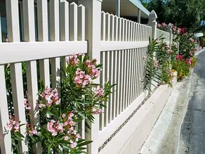 How to Prevent Common Fence Problems: From Warping to Rust