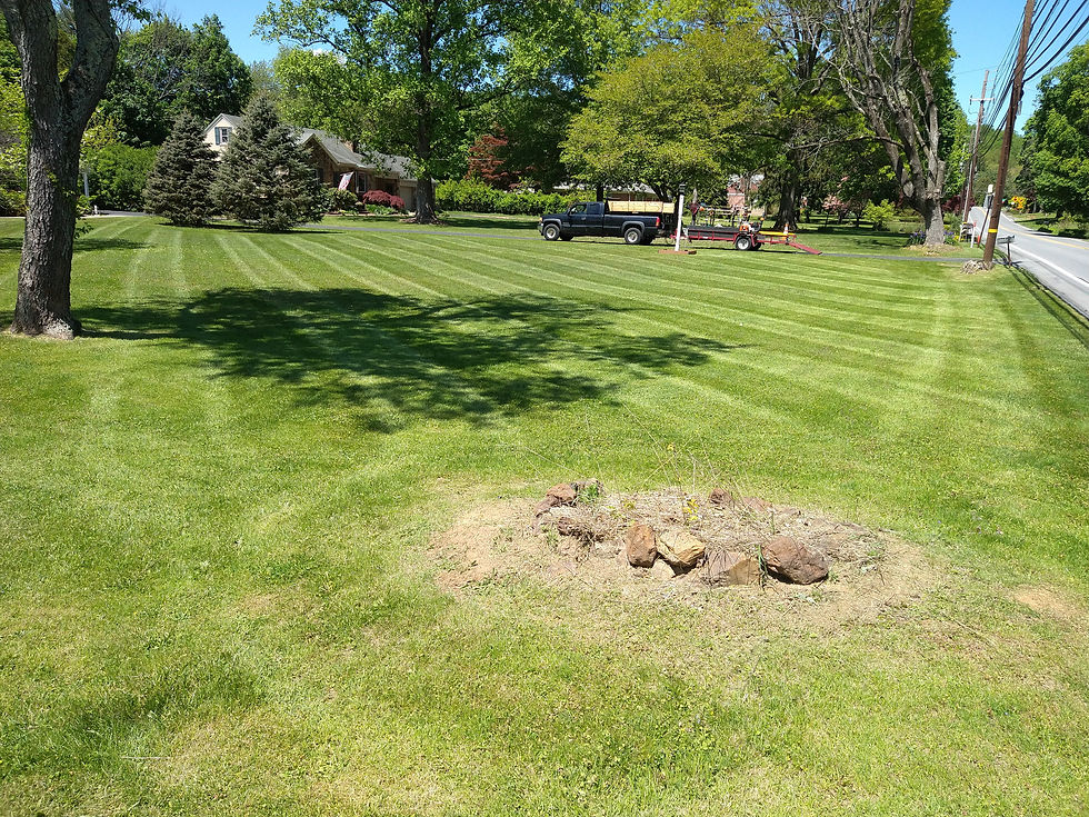 An Aerated, Properly Fertilized Lawn