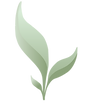 SCCS Logo