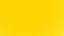 yellow BG (2).jpg