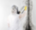 mold_removal.jpg