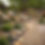 An Austin Texas Landscape Featuring Native Plants