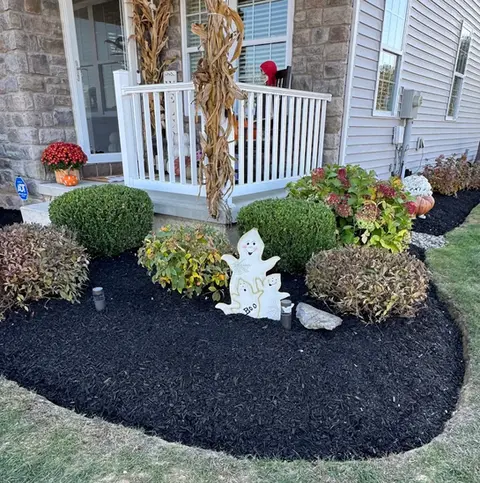Fall Flower Beds Free From Fallen Leaves