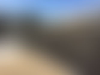 How to Hire a Fencing Contractor for Your Next Project