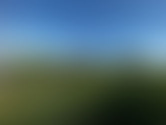 Step-by-Step DIY Fence Guide for Gardeners