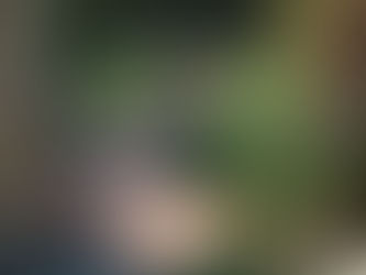 How Walkways Can Enhance Your Curb Appeal