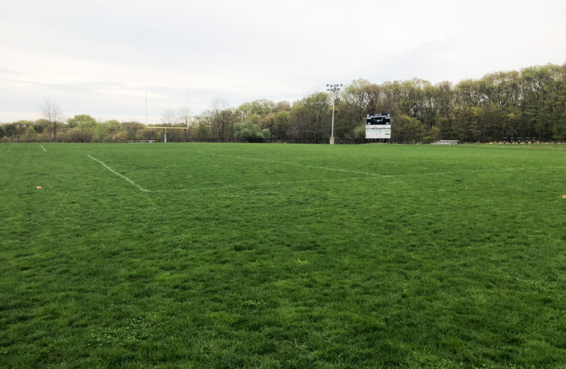 Field Mowing