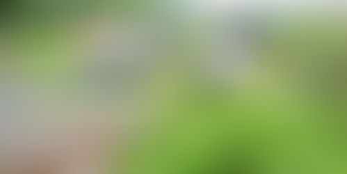 Test Blog