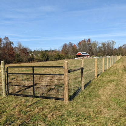New Fence Gate Install