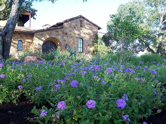 Custom-Designed Landscape