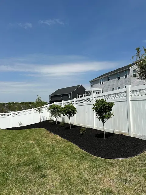 Trees Planted in an Easton PA Backyard