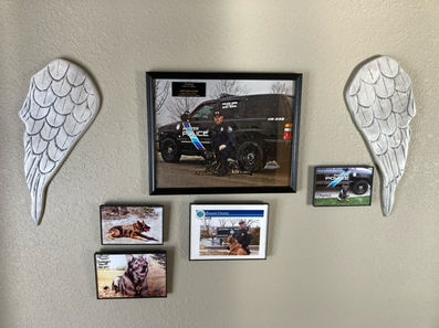 Dog Memorial