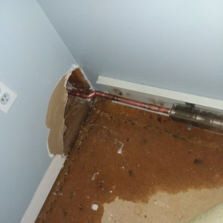 Resized_20180109_152401.jpeg