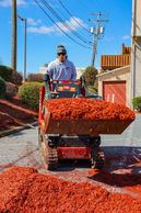 Our Commercial Landscaping Contracting Using Machinery to Spread Mulch