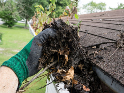 Spring Into Action: Essential Home Maintenance Tips for the Season