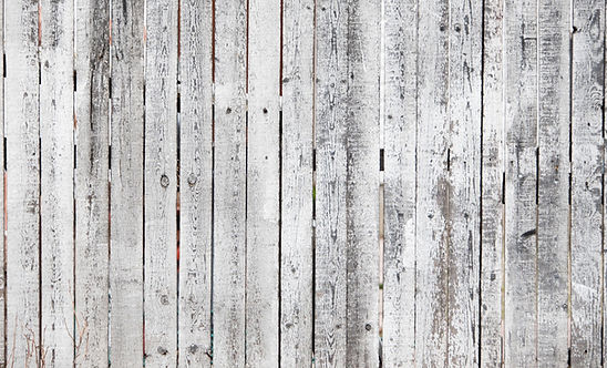 wood fence background.jpg