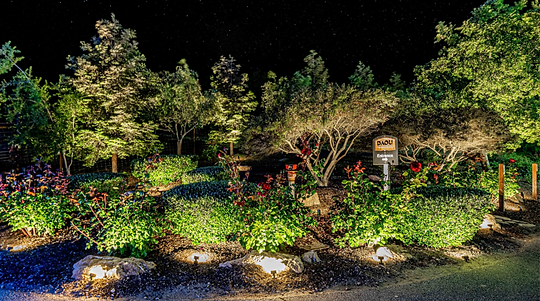 An Austin Texas Landscape Featuring Native Plants