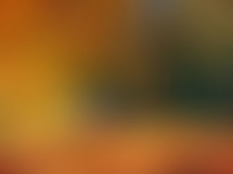 How Leaves Can Damage Your Lawn and Landscape if Left Untouched