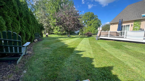 A Striped Pattern in a Newly Mowed Lawn
