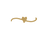 noun_heart vine_1010988.png