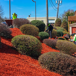 Our Team Working Hard to Clean Up a Commercial Property