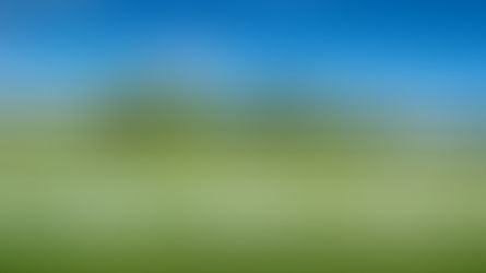 Post & Rail Vinyl Fence Styles for Lehigh Valley Homeowners