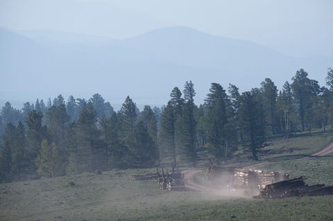DSCF6500.jpg