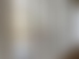 Elevate Your Home's Look with Stylish Window Upgrades