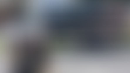 Design Fundamentals: Creating Eye-Catching Custom Vinyl Wraps